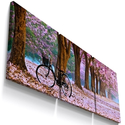 Quadro Decorativo Paisagem Arvore Flor de Cerejeira Primavera Bicicleta Natureza Quarto Sala Varanda Kit 3 Quadros Mosaico Sem Moldura Caixa Alta 60x60 cm Menor preço em Quadro Decorativo Paisagem Arvore Flor de Cerejeira Primavera Bicicleta Natureza Quarto Sala Varanda Kit 3 Quadros Mosaico Sem Moldura Caixa Alta 60x60 cm