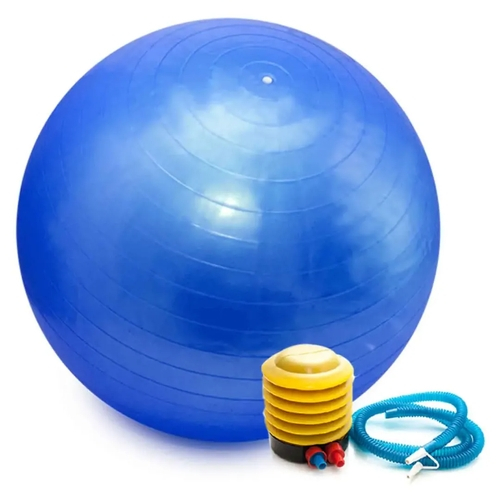 Qual o preço do(a)Bola Pilates Yoga Abdominal Ginástica Fitness 65 cm C/ Bomba Bola Pilates Yoga Abdominal Ginástica Fitness 65 cm C/ Bomba