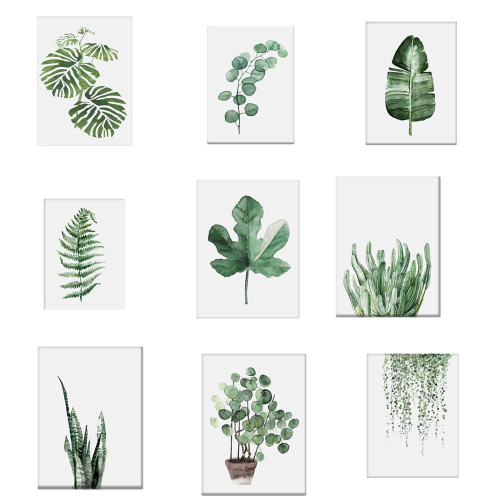 Watercolor Folha Da Planta Verde Cottage Canvas Imprimir Poster Nordic Parede Imagem Home Decor Pintura Escritorio Nas Americanas Deixo aqui algumas imagens de folhas para as crianças se. watercolor folha da planta verde