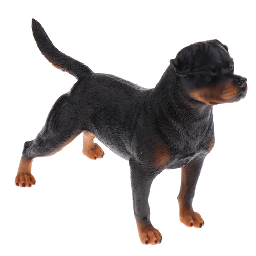 Realista Animal Modelo Figura Estatueta Ciência Natureza Brinquedos  Rottweiler B nas americanas