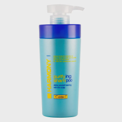 N. P. P. E Chihtsai Harmony Purifying - Shampoo Menor preço em N. P. P. E Chihtsai Harmony Purifying - Shampoo