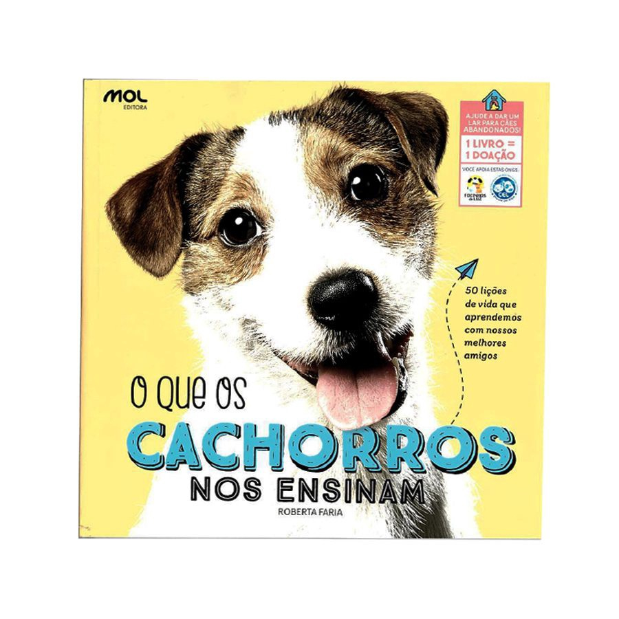 Compilação de animais fofos faz sucesso no