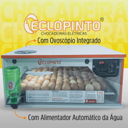 [object Object] é boa?