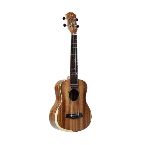 Ukulele deals seizi concert