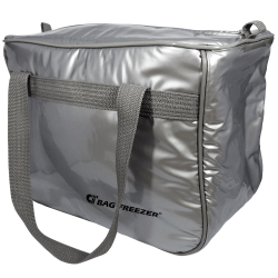Bolsa Térmica Bag Freezer 18L Prata - 30103PR Menor preço em Bolsa Térmica Bag Freezer 18L Prata - 30103PR
