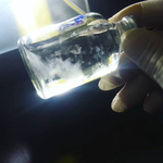 Semente de Shimeji, não é Cogumelo Mágico Psilocybe cubensis