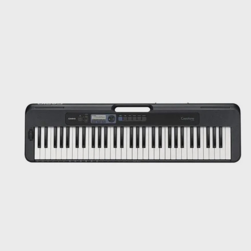 teclado casiotone cts300