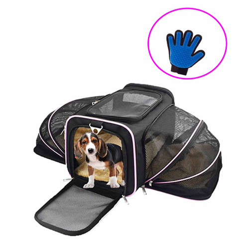 Good2go expandable pet outlet carrier large