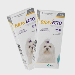 Combo 2 Unidades Antipulgas E Carrapatos Bravecto 2 A 4,5kg Menor preço em Combo 2 Unidades Antipulgas E Carrapatos Bravecto 2 A 4,5kg