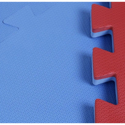 Tatame Tapete Eva Grande Fitness Ginastica 1m x 1m x 30cm Azul e Vermelho Menor preço em Tatame Tapete Eva Grande Fitness Ginastica 1m x 1m x 30cm Azul e Vermelho