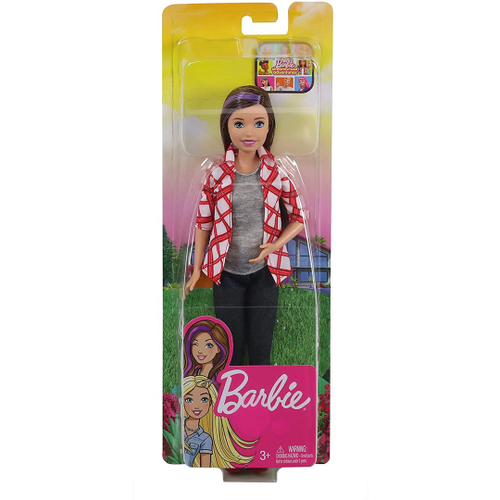 Mattel - Barbie - Dreamhouse Adventures - Campo de Futebol em Promoção na  Americanas