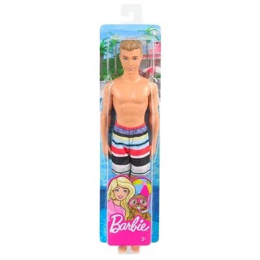 Barbie beach hot sale ken doll