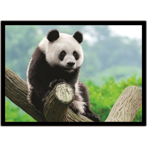 Quadro Infantil Desenho Panda Fundo Azul