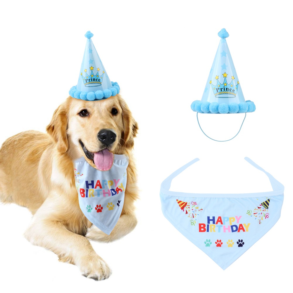 pix Como Fazer Chapeu De Aniversario Para Cachorro filhote de cachorro