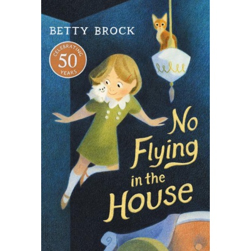 no flying in the house book