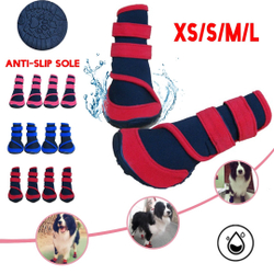 Site de coisas para cachorro clearance