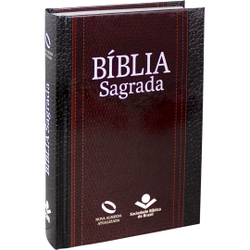 Livro - Bíblia Sagrada NAA Letra Maior: Nova Almeida Atualizada (NAA) Menor preço em Livro - Bíblia Sagrada NAA Letra Maior: Nova Almeida Atualizada (NAA)