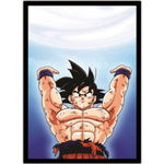 Quadro Decorativo Dragon Ball Z Goku Sayajin 5 Peças M8 em Promoção na  Americanas