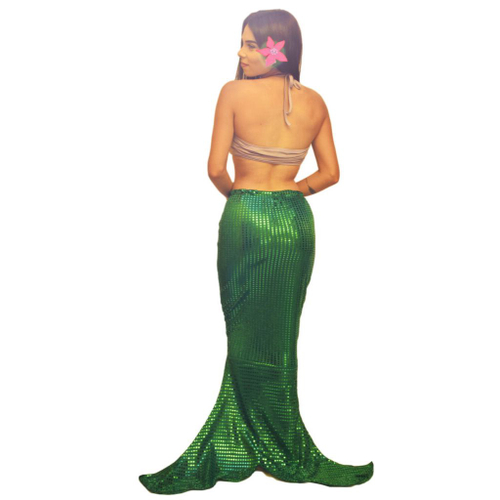 Fantasia Sereia Feminina Adulta Verde Roupa com Cauda e Top