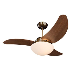 Ventilador Tron Solano 127v 3p Cobre Menor preço em Ventilador Tron Solano 127v 3p Cobre