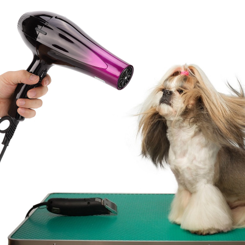 Secador de cabelo para cachorro clearance