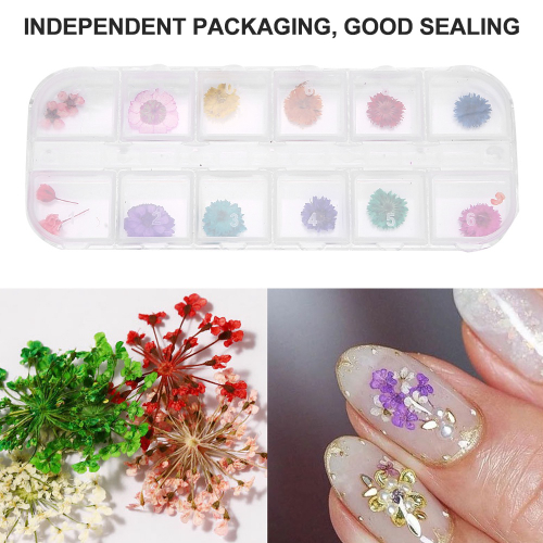 12 Cores Caixa De Flores Secas Para Unhas Decoracao Bonita Para Unhas Decoradas Flores Secas Requintadas Diy Para Unhas Acessorios Para Esmaltes G Nas Americanas Aprenda a fazer unhas decoradas de forma fácil, através de algumas dicas e ideias simples. americanas