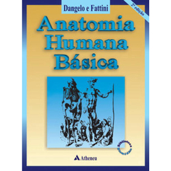 Livro - Anatomia humana básica Menor preço em Livro - Anatomia humana básica
