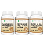 Cloreto de Magnésio + Sucupira + Canela de Velho 500mg 360 cápsulas - Status Verde