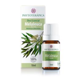Óleo Essencial de Melaleuca (Tea Tree) 10ml Menor preço em Óleo Essencial de Melaleuca (Tea Tree) 10ml