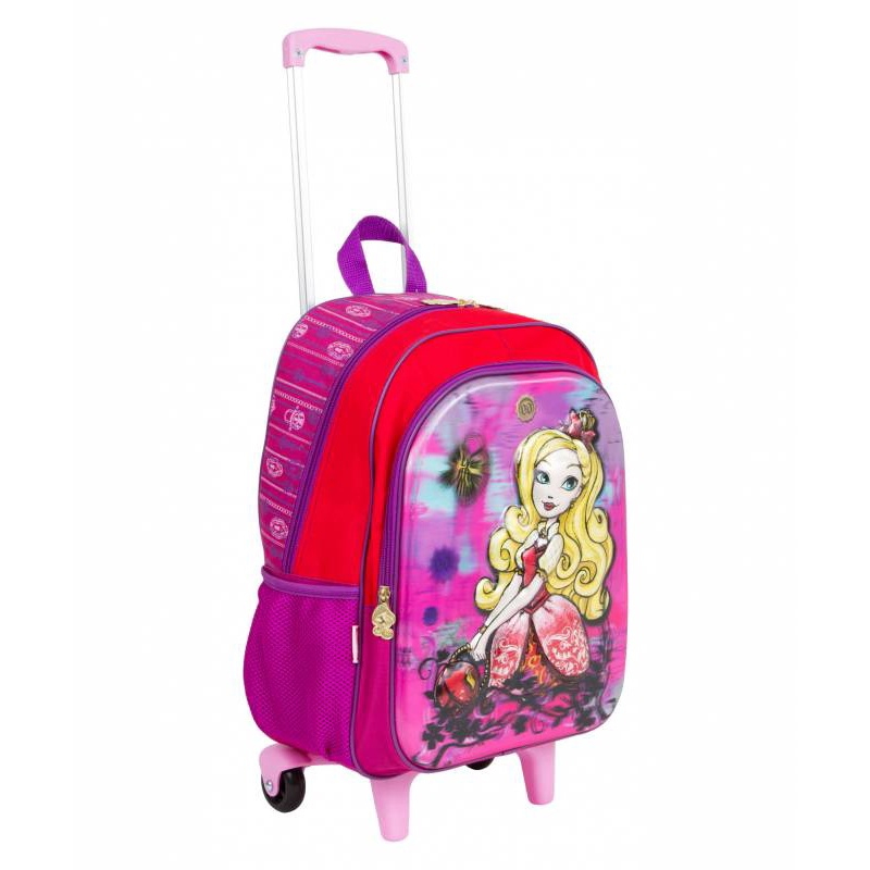 flipkart trolley bolsa price