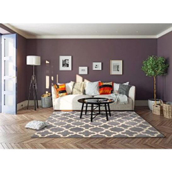 Tapete Celestine Prata 2x1.5m São Carlos Geometrico Herat Menor preço em Tapete Celestine Prata 2x1.5m São Carlos Geometrico Herat