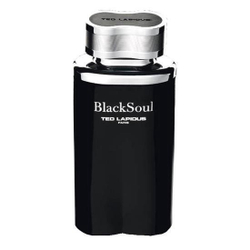Perfume Ted Lapidus Black Soul Edt M 100Ml é boa?