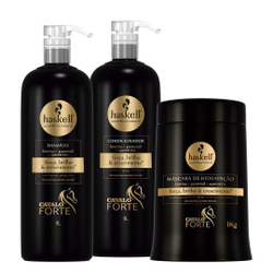 Kit Haskell Cavalo Forte Shampoo Condicionador Máscara 1L Kg Menor preço em Kit Haskell Cavalo Forte Shampoo Condicionador Máscara 1L Kg