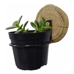 Kit C/3 - Suporte De Vaso para Paredes + Apoio De Madeira - 73mm Menor preço em Kit C/3 - Suporte De Vaso para Paredes + Apoio De Madeira - 73mm