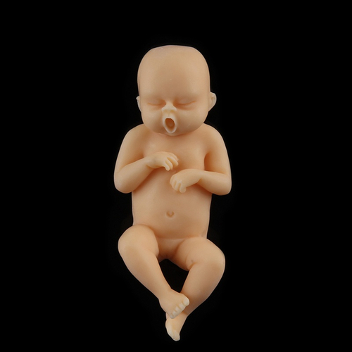 Realistic Mini Reborn Baby Boy Thumb Dolls Full Body Newborn Playing Toy Set Em Promocao Ofertas Na Americanas