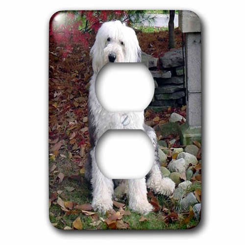 3dRose lsp_4020_6 Beagle Puppy 2 Plug Outlet Cover 3dRose lsp_4020_6 Beagle Puppy 2 Plug Outlet Cover