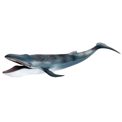 Bonecos De Ação Realistas De Baleia Azul Criatura Animal Marinho Brinquedo  De Aprendizagem nas americanas