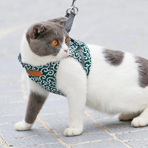 Chat Traction Corde Poitrine Chevauchement Chat Gilet Style Vetements Anti Avc Chat Em Promocao Ofertas Na Americanas