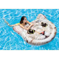 Colchão inflavel para piscina gato - Intex 58784 é boa?