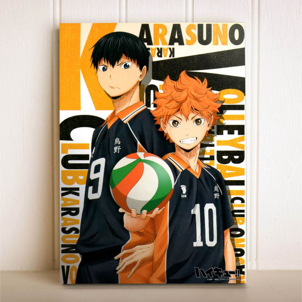 Haikyuu!!, Opinião Animes