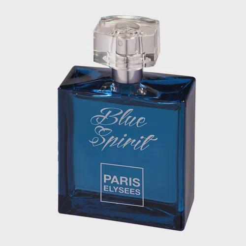 acqua di gio paris elysees