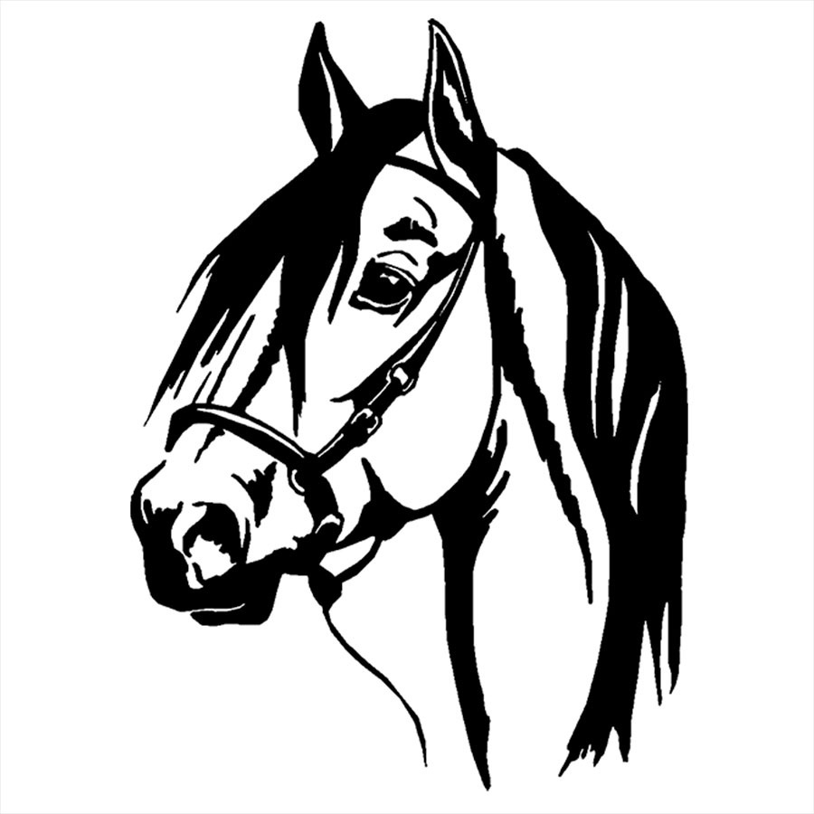 Adesivo de Parede 28x27cm - Cavalo Desenho Cartoon Horse Des