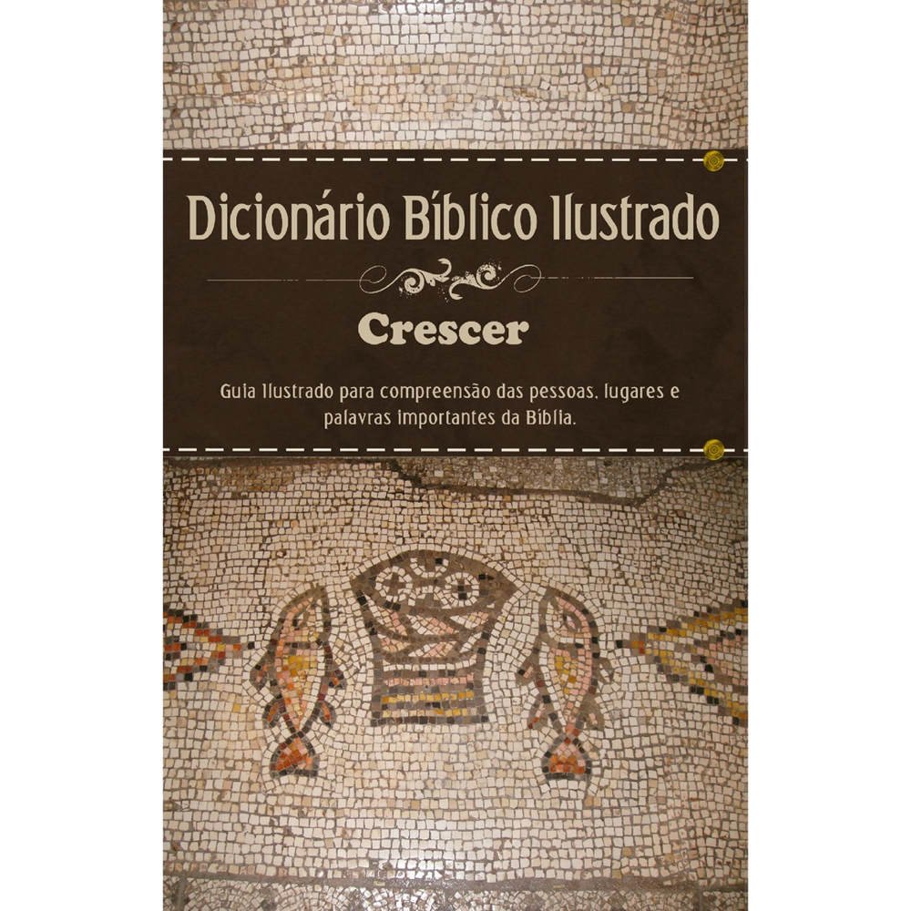 Livro Dicion Rio B Blico Ilustrado Crescer Estampa Nica No Shoptime