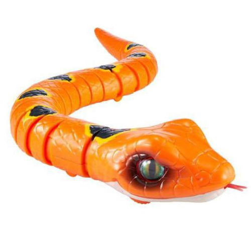 Jogo Tesouro Serpente Cobra Pegue Ouro Brinquedo Divertido - Zoop