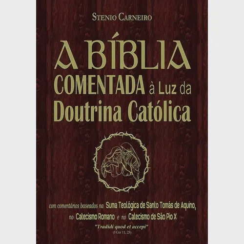 A Bíblia Comentada à Luz Da Doutrina Católica No Shoptime