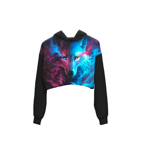 Blusa de best sale frio cropped tumblr