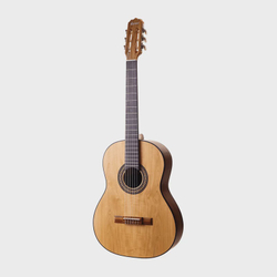 Violão clássico rozini rx 201 acnf (estudante) shop guitar premium Menor preço em Violão clássico rozini rx 201 acnf (estudante) shop guitar premium