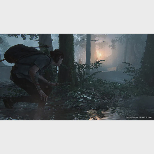 The Last Of Us Part Ii Ps4 Mídia Física Usado - Corre Que Ta Baratinho