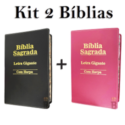 Kit 2 Bíblias Sagrada Letra Gigante c/ Harpa - Luxo - Preta e Pink - Tam - 14x21 cm é boa?