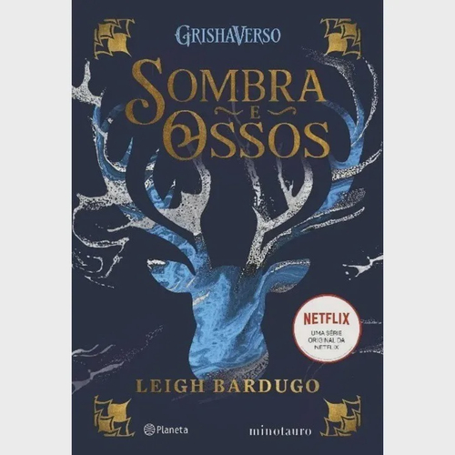 Combo Mistério Netflix 2 Livros Sombra E Ossos + Fate Winx